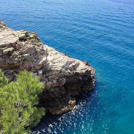 Nina Pula